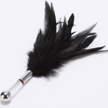 Black feather tickler with a clear acrylic handle and a silver metal ball, used for sensory teasing and foreplay.