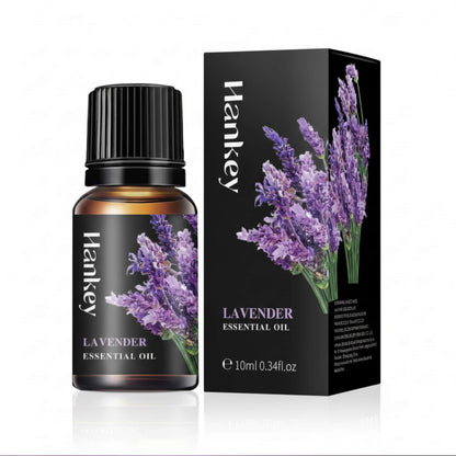 Lavender Essential Oil bottle and its black packaging box displayed on a pure white background for e-commerce.
